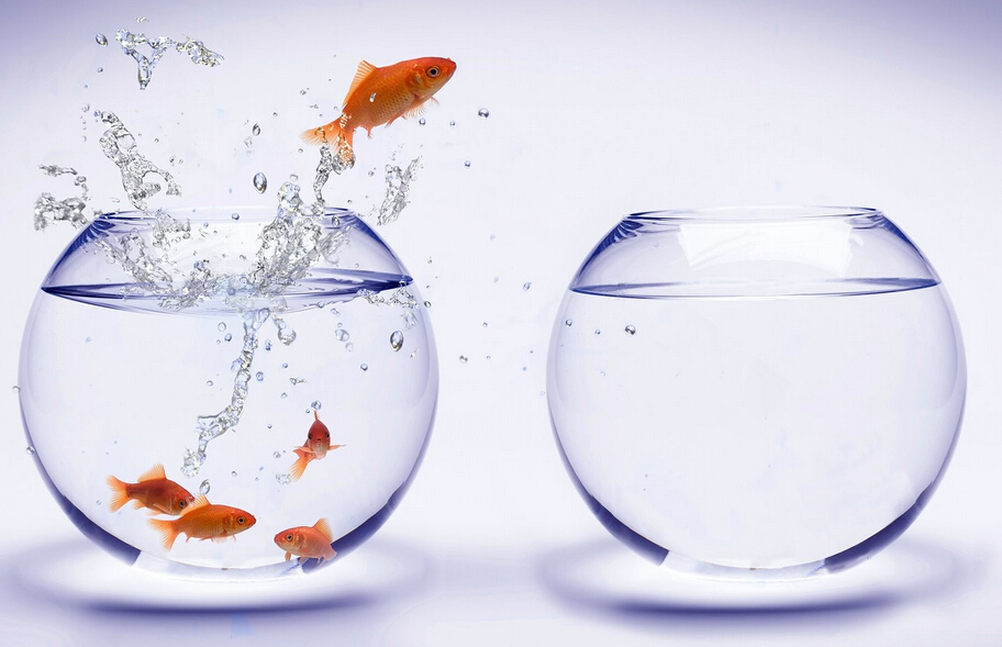 魚(yú)缸的效果圖